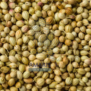 Coriander Seeds (India) - Amaris FMCG