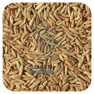 Cumin Seeds - Amaris FMCG