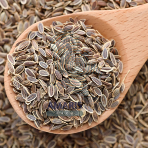 Dill Seeds - Amaris FMCG
