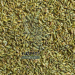Fennel Seeds - Amaris FMCG