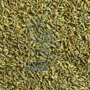 Fennel Seeds - Amaris FMCG
