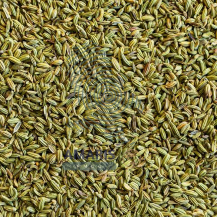 Fennel Seeds - Amaris FMCG
